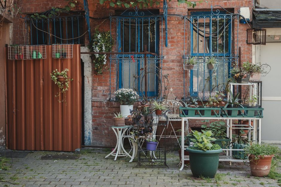 A small urban courtyard garden in black and white, featuring a variety of potted plants and planters arranged on metal shelving units and a white table. The plants include leafy foliage and flowering varieties, with some in round pots placed on the ground and others on a multi-tiered rack. The backdrop consists of a brick wall with three windows, each protected by decorative wrought iron bars. One window is partially obscured by hanging plant baskets, and a small shelf attached to the wall holds additional containers. To the left, a metal sheet door is decorated with a hanging flower arrangement. The area appears well-maintained, with textured paving stones underfoot and a mix of textures from the plants, metal furniture, and brick wall, all captured in natural daylight. Gardeners Belgravia, a professional gardening company, specializes in garden maintenance and landscaping work, as reflected in this thoughtfully arranged courtyard designed for outdoor enjoyment and visual appeal.